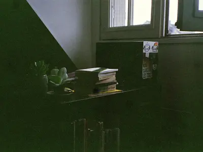33. Fuji X-Tra 400ISO (perimé)