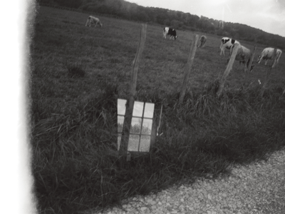 36 - Ilford FP4 125ISO