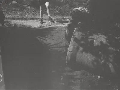 40 - TX 400ISO